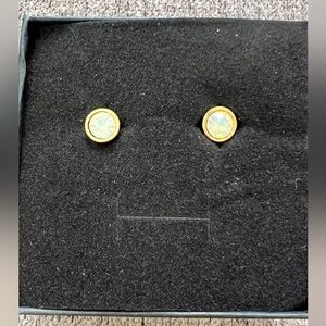 NWOT Lia Sophia Birthday Party Crystal Stud Earrings, October Gold Tone